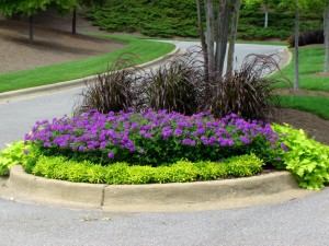 Saint Louis landscaping - Loyet Landscape Maintenance